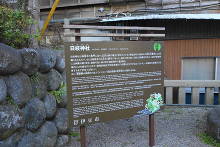 日枝神社(修善寺)  2
