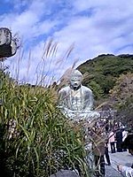 鎌倉大仏とススキ