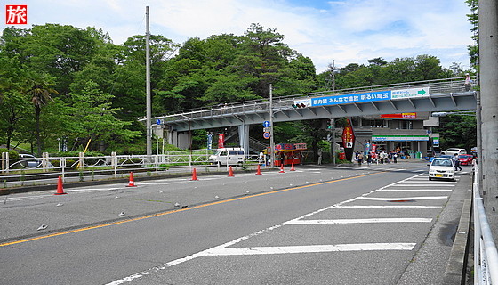 ゆり園 観光 旅案内 たびあん