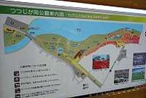 県立つつじが岡公園