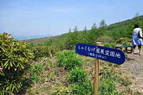 浅間高原しゃくなげ園