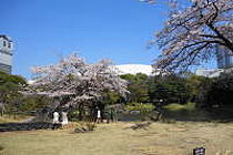 小石川後楽園