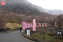 湯河原梅林