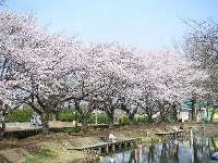 城之内公園