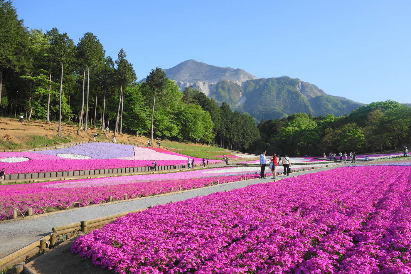 羊山公園