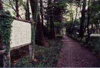 日光街道杉並木