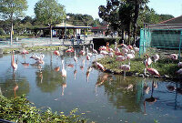 東武動物公園 2