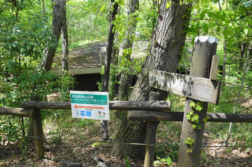 荒幡富士市民の森