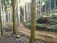 牧野の森「里山」