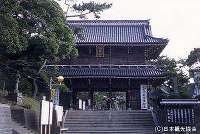 誕生寺(鴨川市)