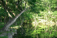 鳥沼公園