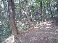 野山北・六道山公園