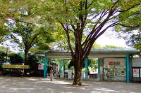 神代植物公園