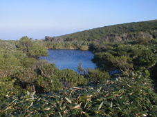 鈴原湿原