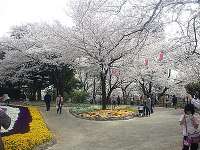 飛鳥山公園