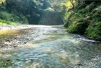 秋川渓谷