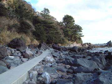 真鶴半島自然公園