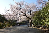 源氏山公園(鎌倉市) 4