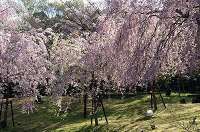 荒井城址公園