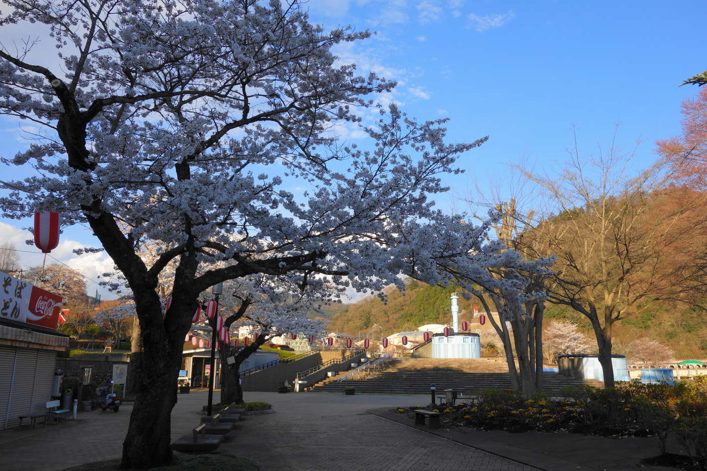 県立相模湖公園