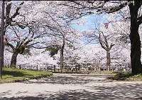 高岡古城公園