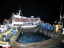 滑川ほたるいか海上観光