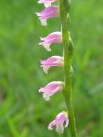 卯辰山公園(金沢市)