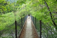 紅葉 西沢渓谷ハイキング 