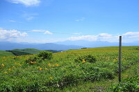 霧ヶ峰高原 2