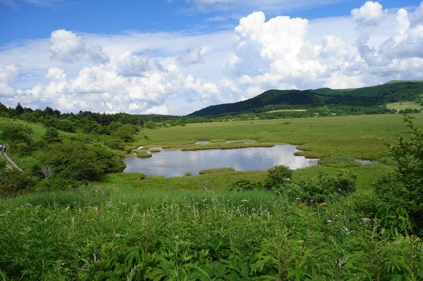 八島ヶ原湿原