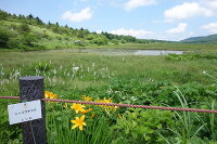 八島ヶ原湿原 3