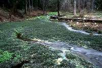 姫川源流自然探勝園