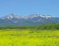 野辺山高原