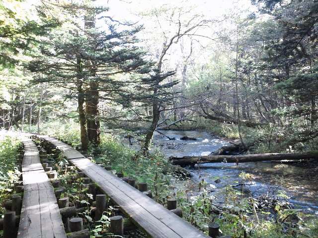 河童橋・明神自然探勝路