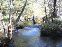 河童橋・明神自然探勝路 3