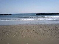 河津海岸 2