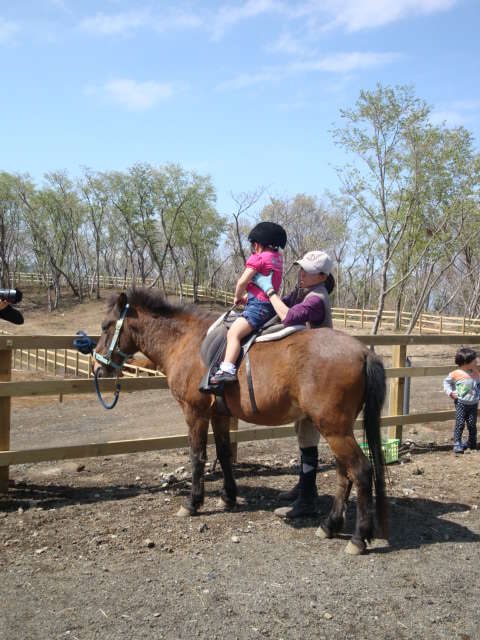 与那国馬ふれあい牧場