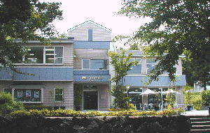 陶磁・ガラス美術館 やんもの木