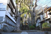日枝神社(修善寺) 2