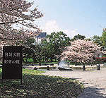 名城公園