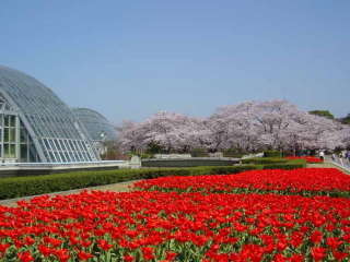 京都府立植物園