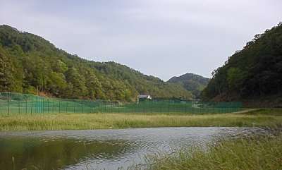 コウノトリの郷公園