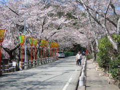 龍野公園・聚遠亭