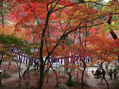 瑞宝寺公園