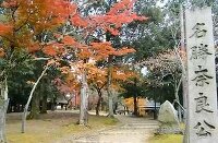紅葉 奈良公園 