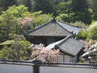 東大寺 開山堂