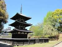 興福寺 三重塔