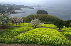 四本堂公園