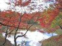 用作公園 1