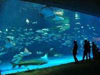 いおワールド かごしま水族館